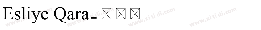 Esliye Qara字体转换